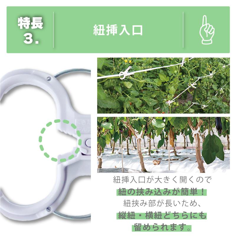 220個 2袋 紐誘引クリップ くきたっちアルファ M パープル 薄紫 AM
