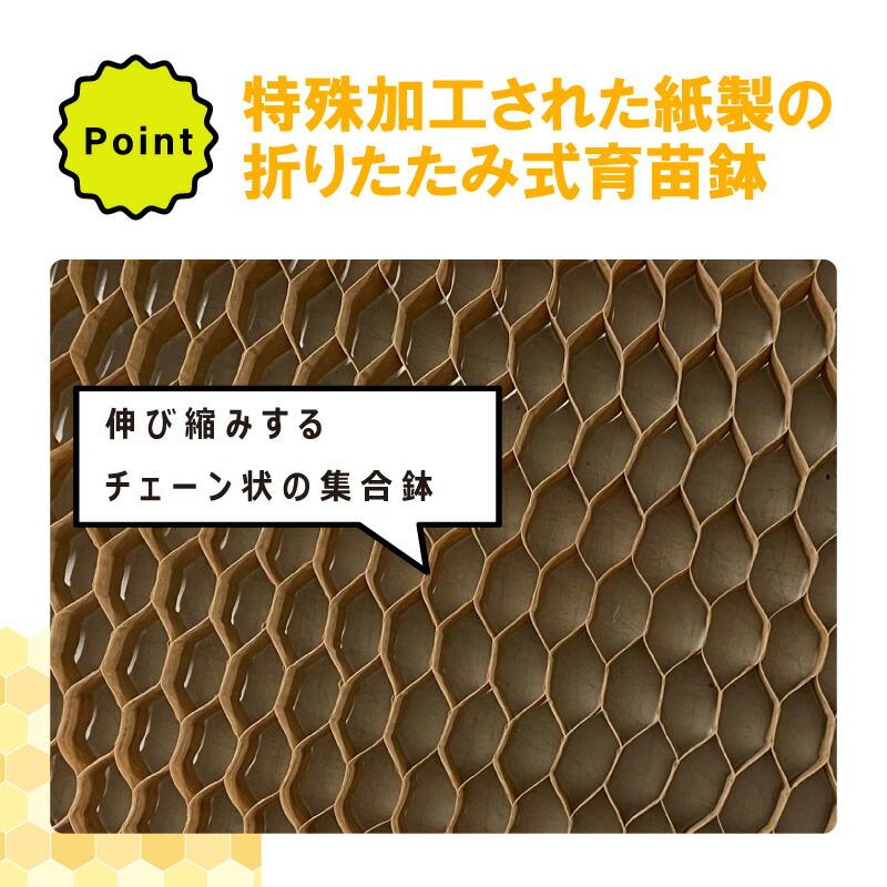 75冊入 2箱 チェーンポット LP303-10 264鉢 紙筒 ニッテン 日甜 ロングピッチチェーンポット 播種 種まき 育苗 青ネギ キク 菊 花き類 タSZ｜plusysbtob｜05