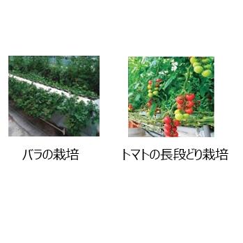 ロックウール培地　やさいはなベッド　8枚　タS　果菜類　個人宅配送不可　75×300×910mm　栽培など　代引不可
