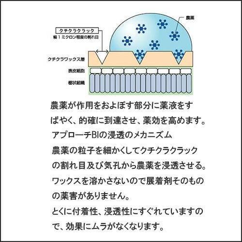 展着剤 アプローチBI 500ml 丸和バイオケミカル 農薬 水稲 イN 代引不可｜plusysbtob｜02