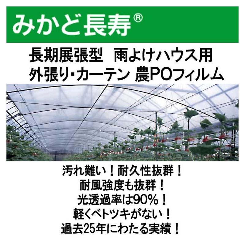 0.1mm厚 300cm幅 100m みかど長寿 100A 雨よけハウス外張り用 農PO 