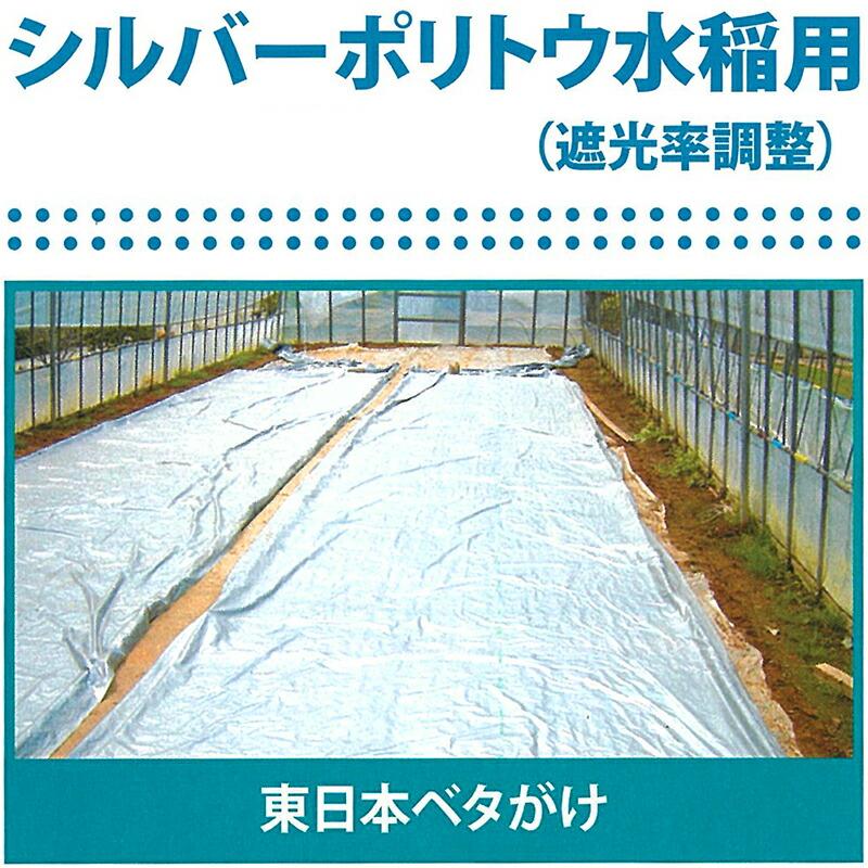 2本 シルバーポリトウ 水稲 用 ＃90 0.05mm×210cm×50m 育苗 に