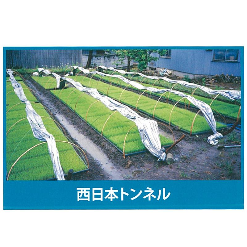 2本　シルバーポリトウ　水稲　＃90　50m　×　0.05mm　トーカン　タS　×　に　用　210cm　育苗　代引不可