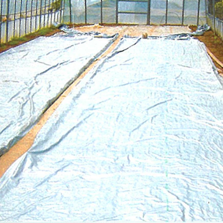 2本 シルバーポリトウ 水稲 用 ＃90 0.05mm×230cm×50m 育苗 に