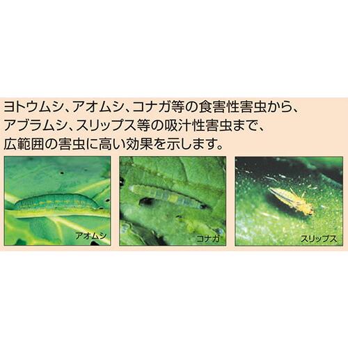 5個 殺虫剤 オルトラン粒剤 3kg アリスタライフ 農薬 イN 代引不可｜plusysbtob｜02
