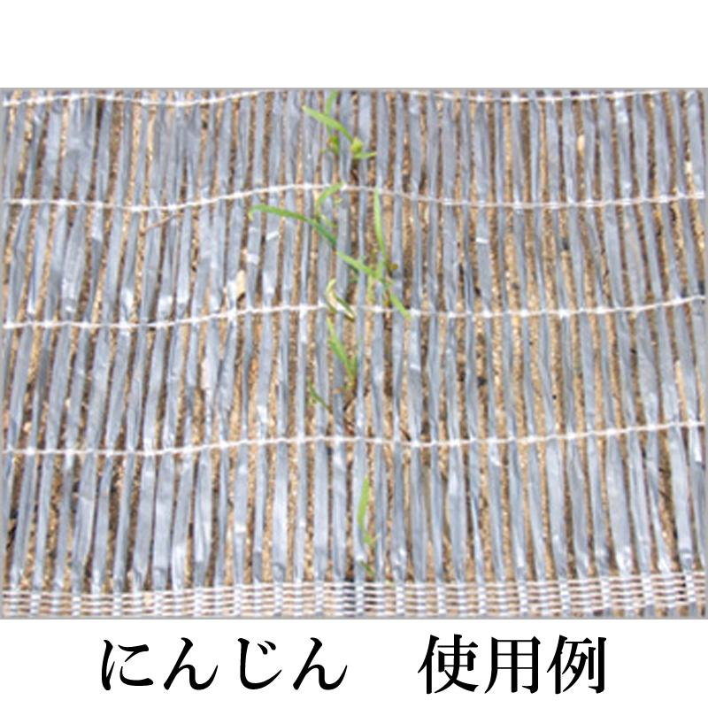 1m×100m シルバー 芽出たいシート 遮光ネット S1606 遮光率約60