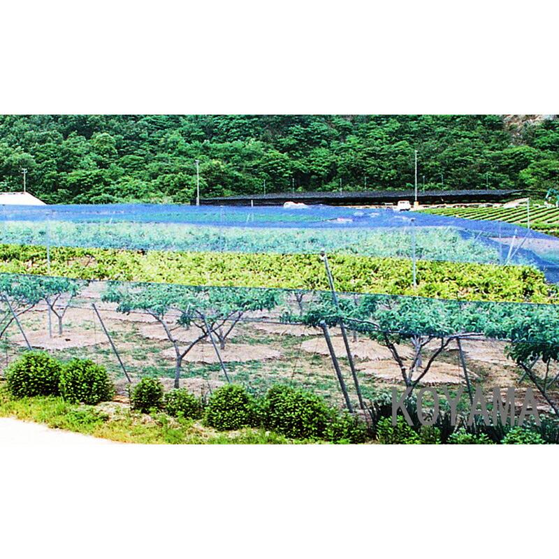 3本 国産 防鳥網 18m×36m 200坪 30mm 目合 1000デニール ブルー 防鳥