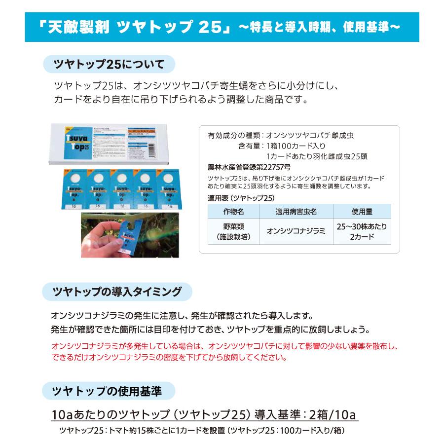 天敵製剤 ツヤトップ25 25頭×100カード オンシツツヤコバチ オンシツコナジラミ駆除 アグリセクト タS 代引不可の画像