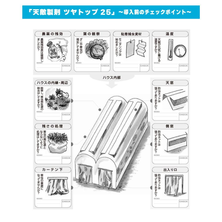 天敵製剤 ツヤトップ25 25頭×100カード オンシツツヤコバチ オンシツコナジラミ駆除 アグリセクト タS 代引不可の画像
