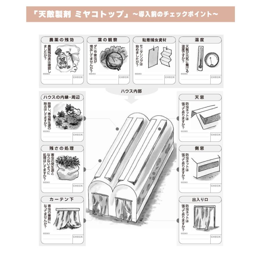 天敵製剤 ミヤコトップ 2000頭 250ml ミヤコカブリダニ ハダニ類駆除 ハウス 施設栽培 イチゴ いちご 苺 野菜 栽培 農業 農作物 アグリセクト タS 代引不可の画像