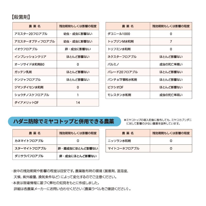 天敵製剤 ミヤコトップ 2000頭 250ml ミヤコカブリダニ ハダニ類駆除 ハウス 施設栽培 イチゴ いちご 苺 野菜 栽培 農業 農作物 アグリセクト タS 代引不可の画像