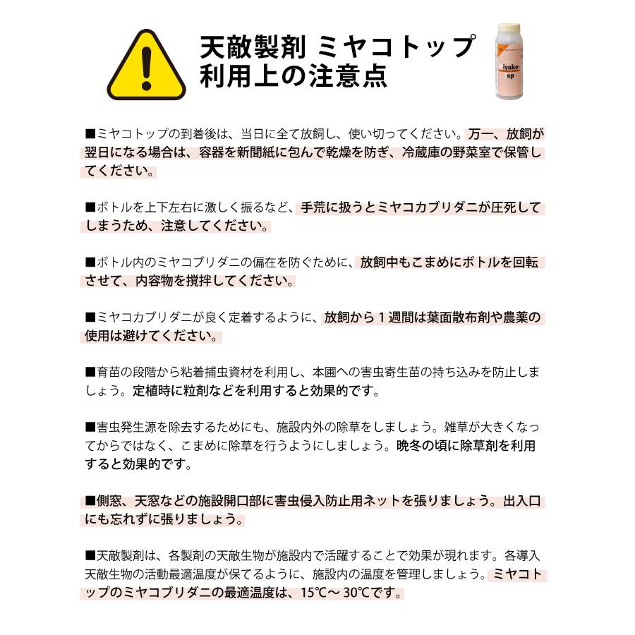天敵製剤 ミヤコトップ 2000頭 250ml ミヤコカブリダニ ハダニ類駆除 ハウス 施設栽培 イチゴ いちご 苺 野菜 栽培 農業 農作物 アグリセクト タS 代引不可の画像