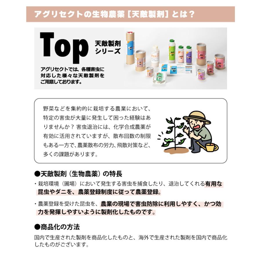 天敵製剤 ミヤコトップ 2000頭 250ml ミヤコカブリダニ ハダニ類駆除 ハウス 施設栽培 イチゴ いちご 苺 野菜 栽培 農業 農作物 アグリセクト タS 代引不可の画像