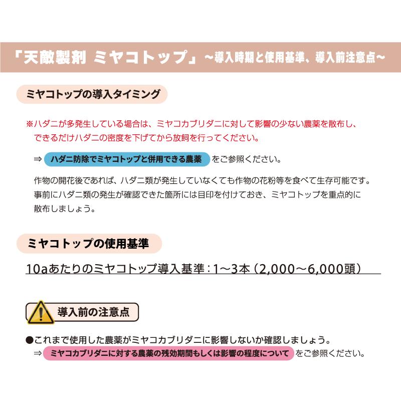 天敵製剤 ミヤコトップ 2000頭 250ml ミヤコカブリダニ ハダニ類駆除 ハウス 施設栽培 イチゴ いちご 苺 野菜 栽培 農業 農作物 アグリセクト タS 代引不可の画像