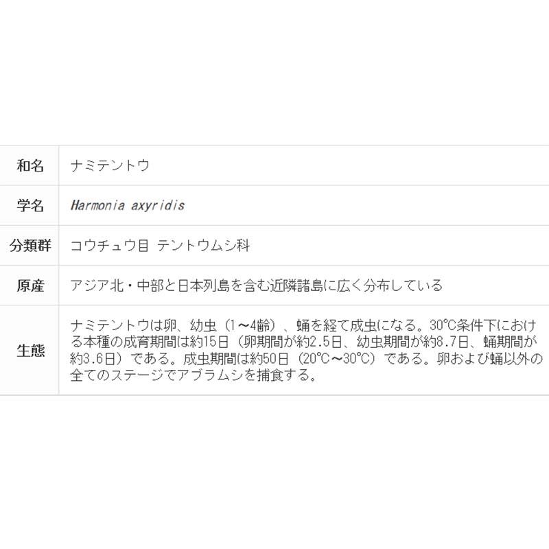 要着日指定 時間指定不可 天敵製剤 テントップ 2および3齢幼虫 100頭 300ml ナミテントウ アブラムシ類駆除 アグリセクト タS 代引不可｜plusysbtob｜05