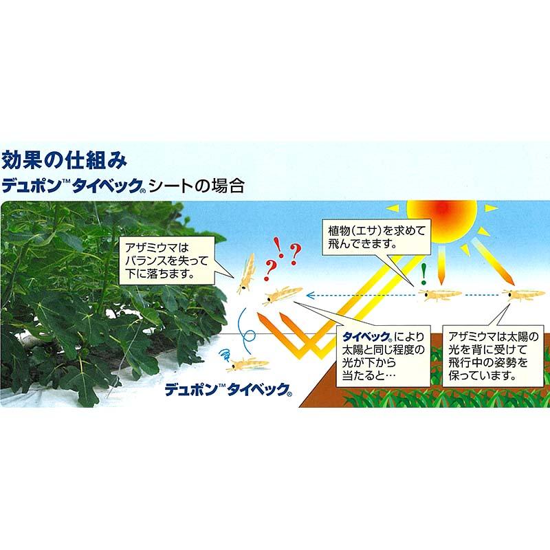 10本 タイベック マルチ 700AG 1.0m× 100m×10本 野菜 フルーツ 花卉 カ施 個人宅配送不可 代引不可｜plusysbtob｜06