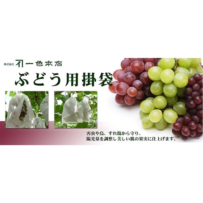 2500枚　果実袋　ブドウ　代引不可　ぶどう用掛袋　一色本店　100-503-22　一S　一重袋　#3