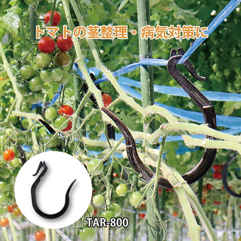 100個 カケタロー TAR-800 カケタロ〜 黒 トマト シーム タS 代引不可