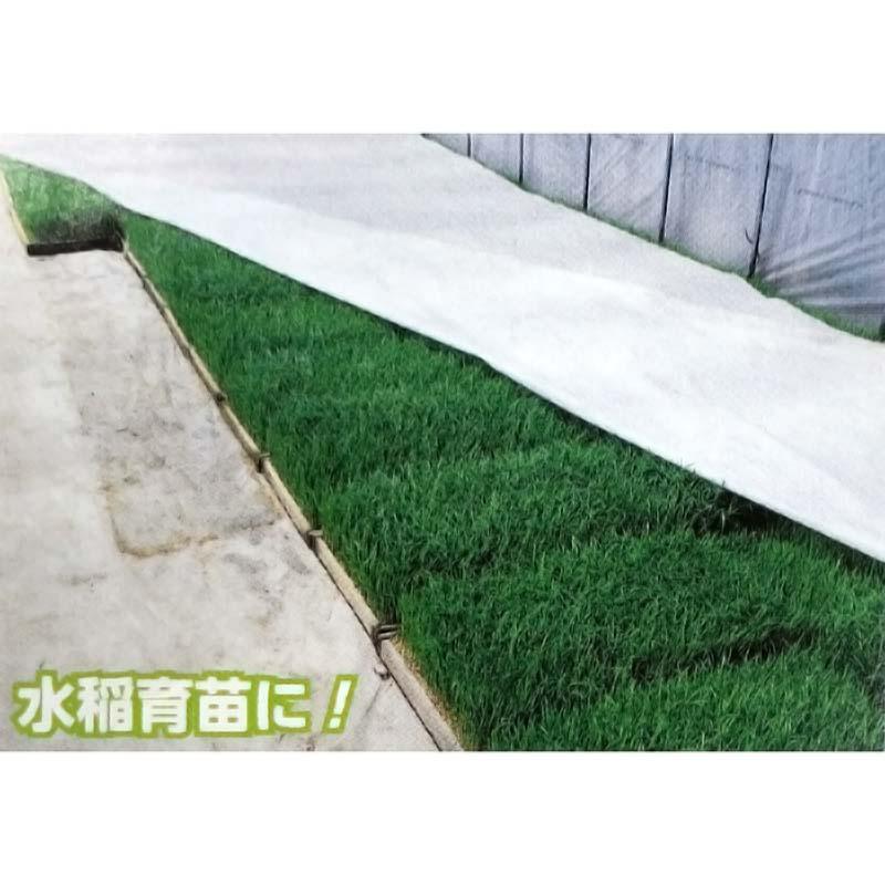 タキイ 在庫処分 不織物 不織布 水稲育苗 防霜トンネル 長さ100m 幅300cm E01025 スカイテック スカイテック その他