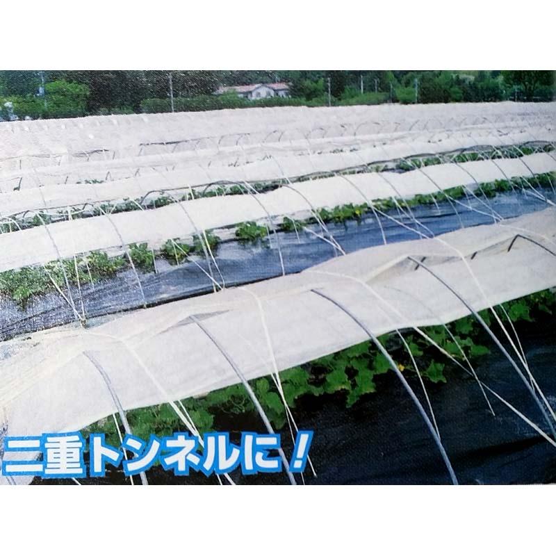 スカイテック E01025 幅300cm 長さ100m 防霜トンネル 水稲育苗 不織布