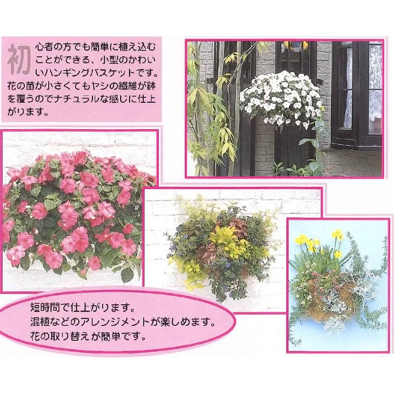 48個 プチバスケット WB-25 ハンギングバスケット 伊藤商事 タS 個人