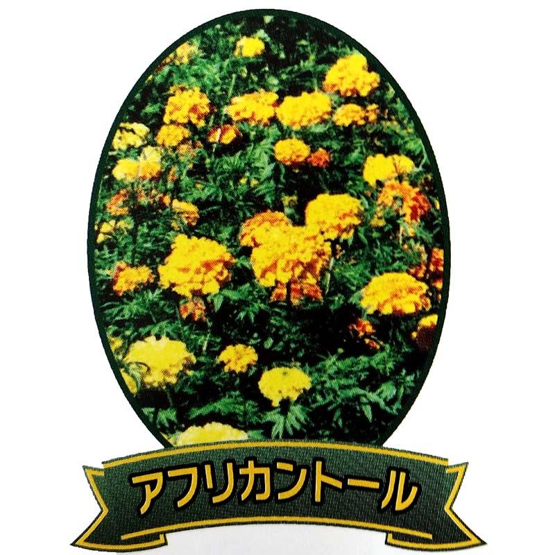 種 3l マリーゴールド アフリカントール 緑肥 景観美化 播種期 5 7月 雪印種苗 米s 代引不可 プラスワイズ業務店 通販 Yahoo ショッピング