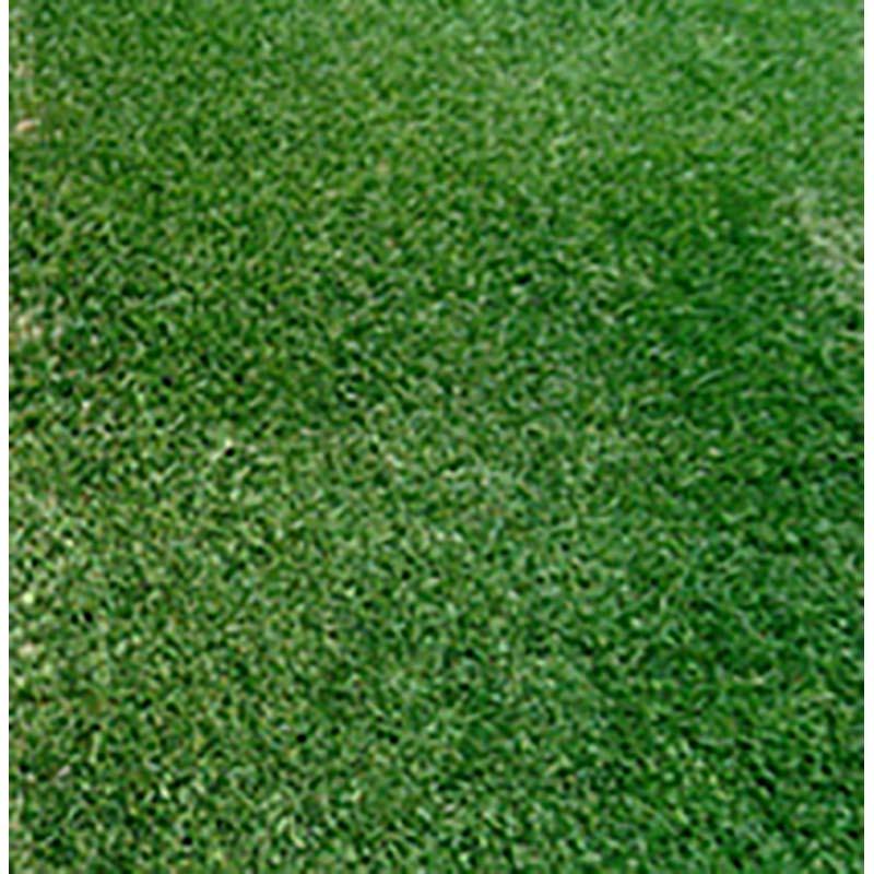 種 5kg サツキワセ 芝生 65％以上節約 米S タキイ種苗 ウィンターオーバーシード ブランド買うならブランドオフ 代引不可