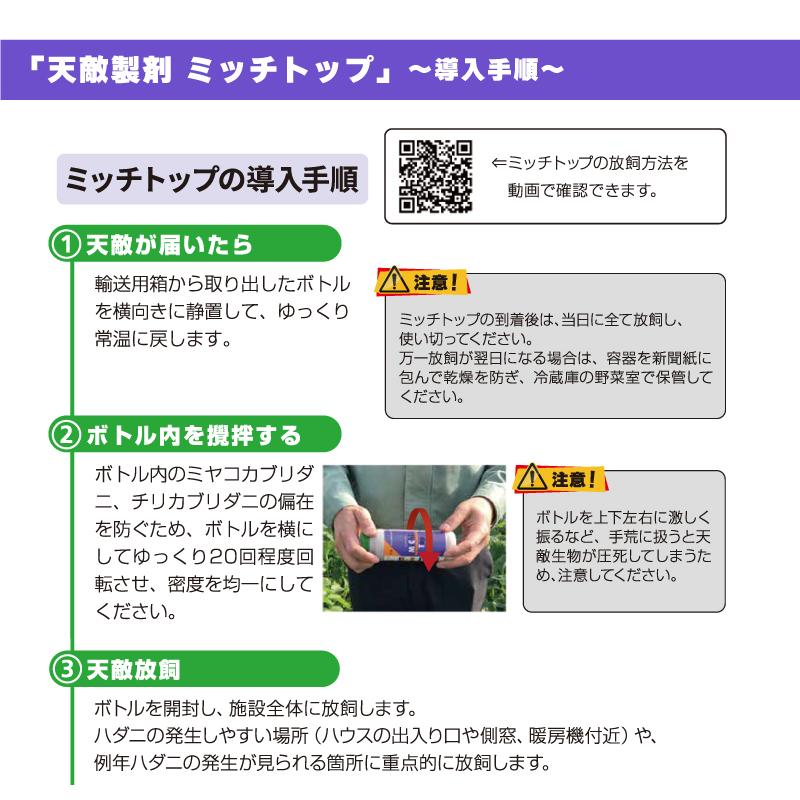 天敵製剤 ミッチトップ チリカブリダニ400頭 ミヤコカブリダニ1600頭 250ml ハダニ類 ハウス ビニールハウス 施設栽培 農業 農作物 アグリセクト タS 代引不可の画像