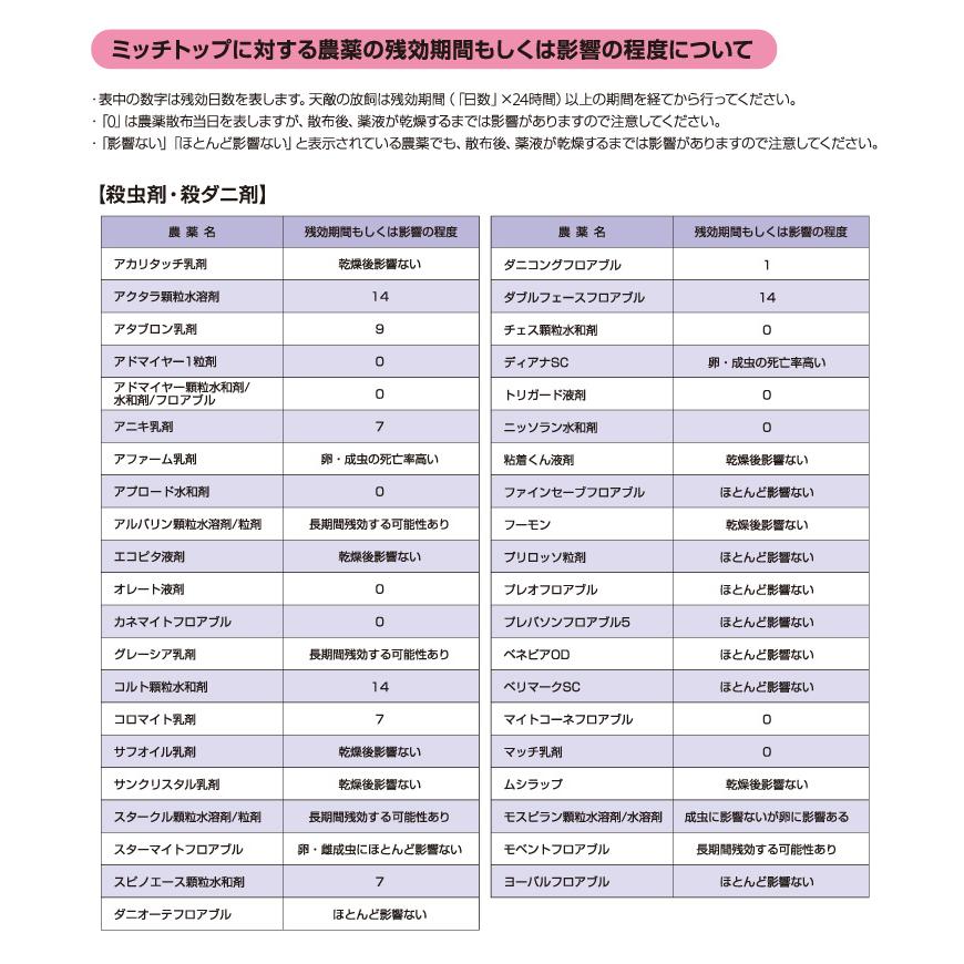 天敵製剤 ミッチトップ チリカブリダニ400頭 ミヤコカブリダニ1600頭 250ml ハダニ類 ハウス ビニールハウス 施設栽培 農業 農作物 アグリセクト タS 代引不可の画像