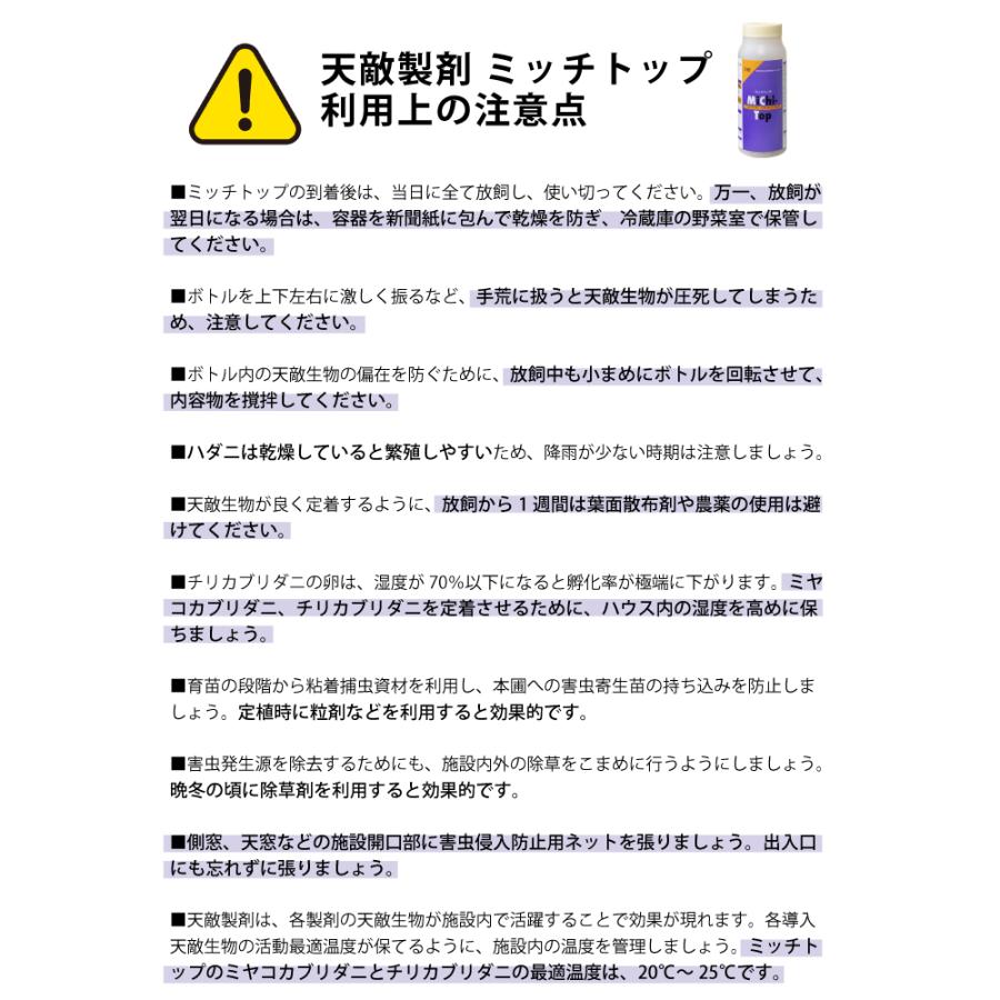 天敵製剤 ミッチトップ チリカブリダニ400頭 ミヤコカブリダニ1600頭 250ml ハダニ類 ハウス ビニールハウス 施設栽培 農業 農作物 アグリセクト タS 代引不可の画像