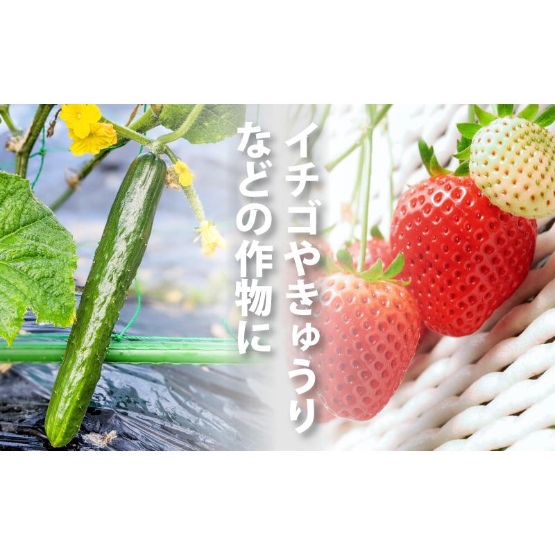 天敵製剤 ミッチトップ チリカブリダニ400頭 ミヤコカブリダニ1600頭 250ml ハダニ類 ハウス ビニールハウス 施設栽培 農業 農作物 アグリセクト タS 代引不可の画像