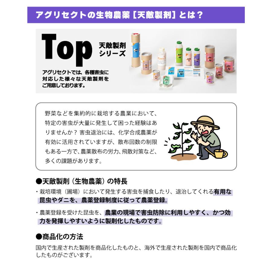 天敵製剤 ミッチトップ チリカブリダニ400頭 ミヤコカブリダニ1600頭 250ml ハダニ類 ハウス ビニールハウス 施設栽培 農業 農作物 アグリセクト タS 代引不可の画像