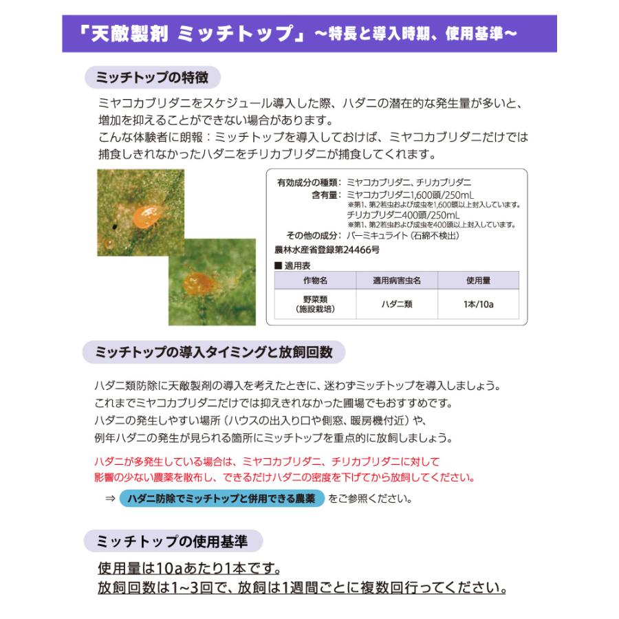 天敵製剤 ミッチトップ チリカブリダニ400頭 ミヤコカブリダニ1600頭 250ml ハダニ類 ハウス ビニールハウス 施設栽培 農業 農作物 アグリセクト タS 代引不可の画像