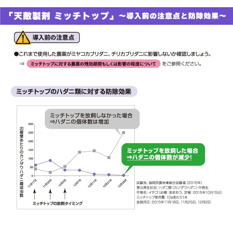 天敵製剤 ミッチトップ チリカブリダニ400頭 ミヤコカブリダニ1600頭 250ml ハダニ類 ハウス ビニールハウス 施設栽培 農業 農作物 アグリセクト タS 代引不可の画像