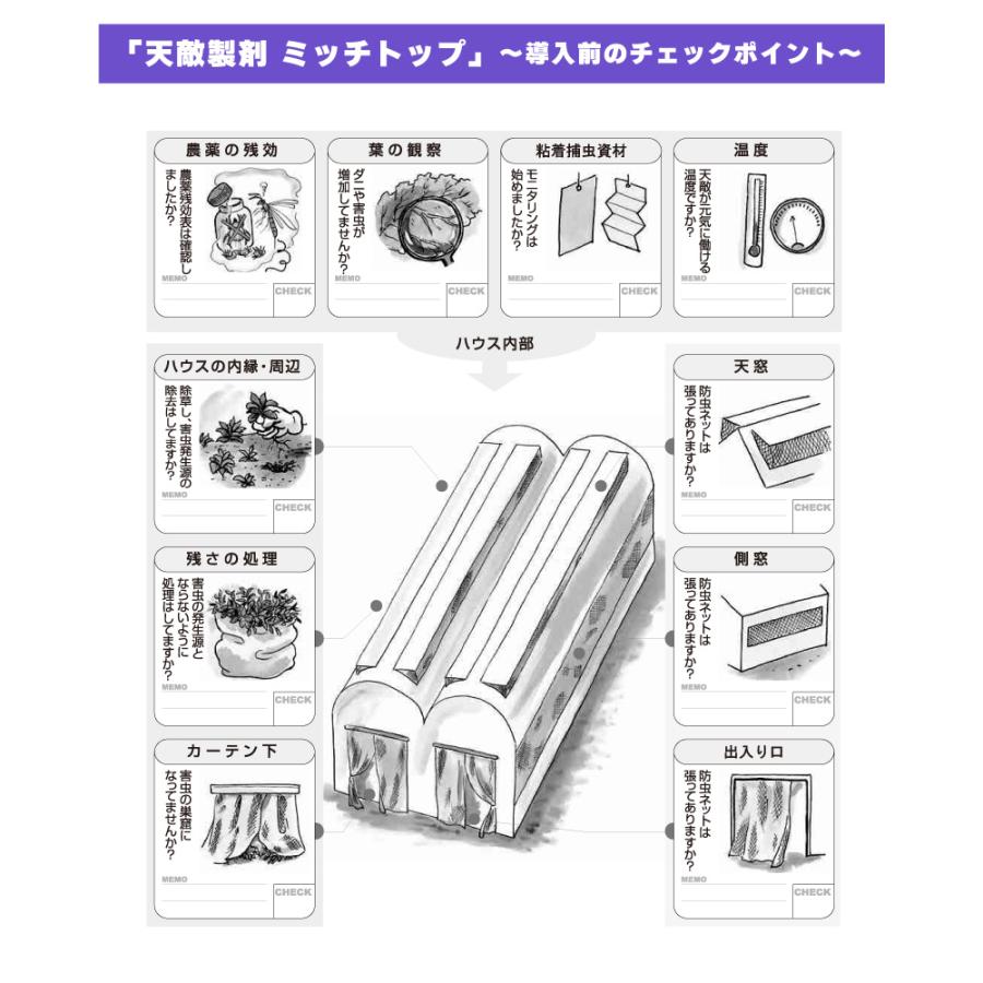 天敵製剤 ミッチトップ チリカブリダニ400頭 ミヤコカブリダニ1600頭 250ml ハダニ類 ハウス ビニールハウス 施設栽培 農業 農作物 アグリセクト タS 代引不可の画像