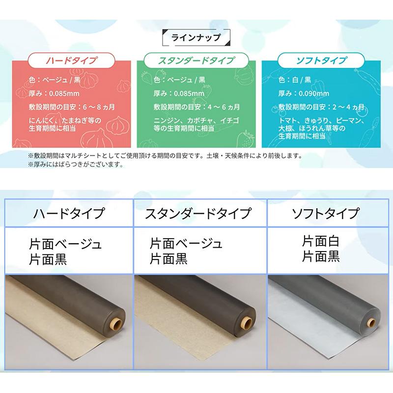 2本 OJIサステナマルチ スタンダード 幅160cm 200m巻 無孔 ベージュ/黒