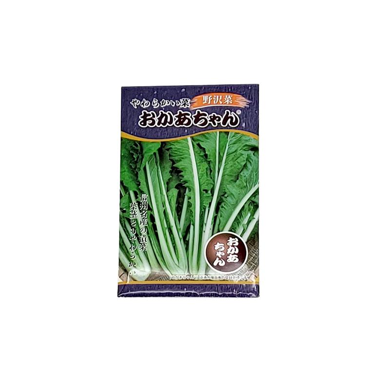 種子18ml 野沢菜 やわらかい菜 おかあちゃん F1 シミズのタネ 漬け菜