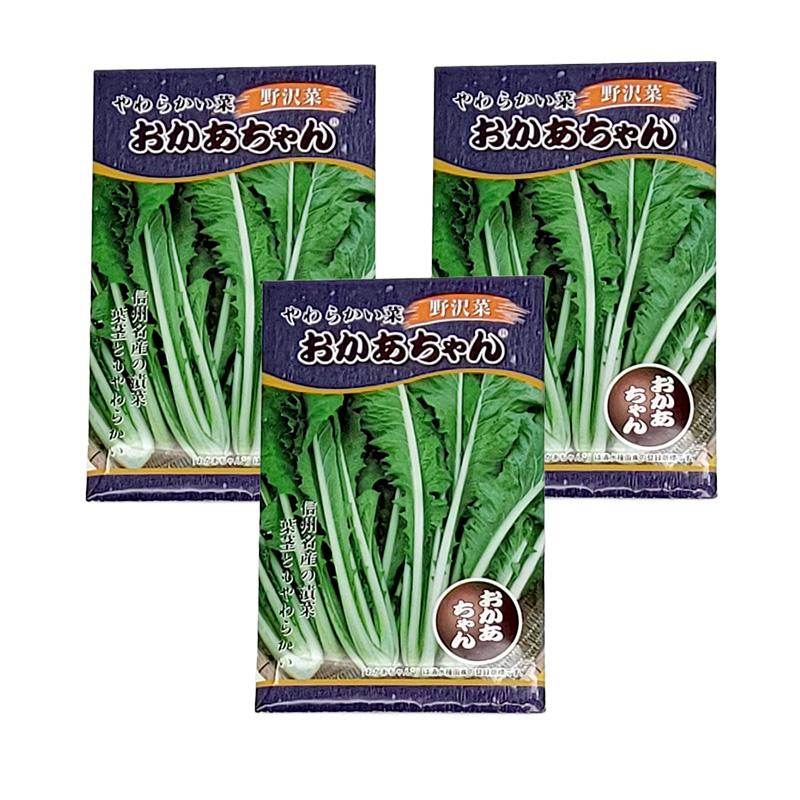 3袋 種子18ml 野沢菜 やわらかい菜 おかあちゃん F1 シミズのタネ