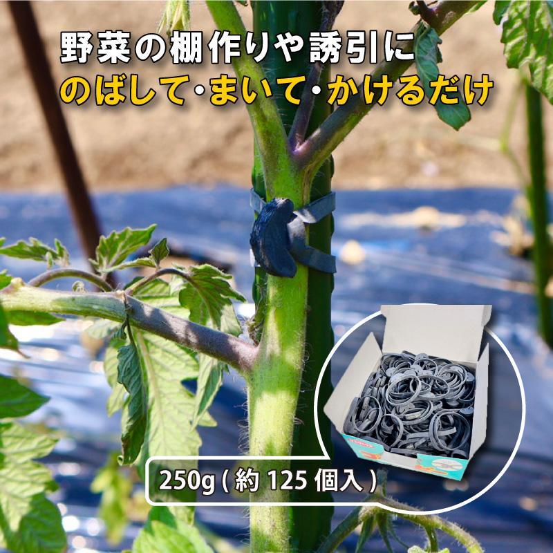 250g ( 約125本入 ) ゴムスビー 箱なし 園芸用 万能 輪ゴム 家庭菜園