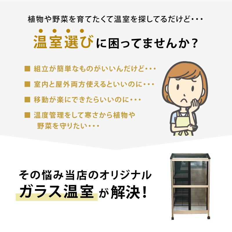 キャスター付／ 折りたたみ式 ガラス温室 家庭用 SQU-600 受注生産品