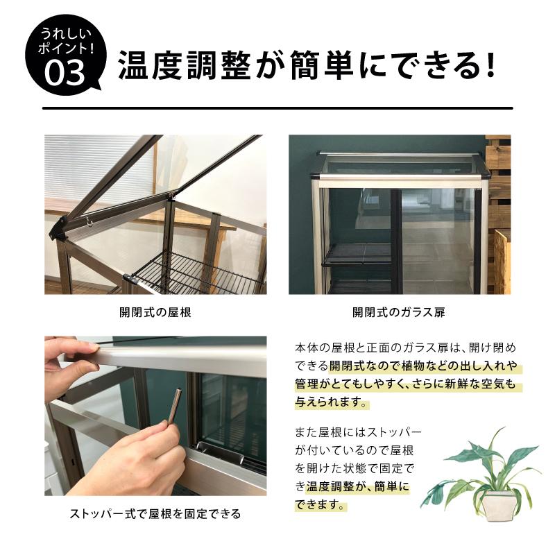 キャスター付／ 折りたたみ式 ガラス温室 家庭用 SQU-600 受注生産品