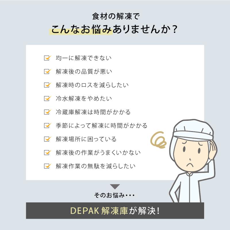 受注生産 DEPAK解凍庫 SE-H500 スピード解凍 肉 魚 食材 解凍 受注生産 DEPAK解凍庫 SE-H500 スピード解凍 肉 魚 食材 解凍