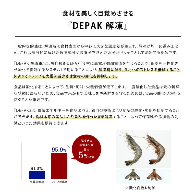 受注生産 DEPAK解凍庫 SE-H500 スピード解凍 肉 魚 食材 解凍 受注生産 DEPAK解凍庫 SE-H500 スピード解凍 肉 魚 食材 解凍