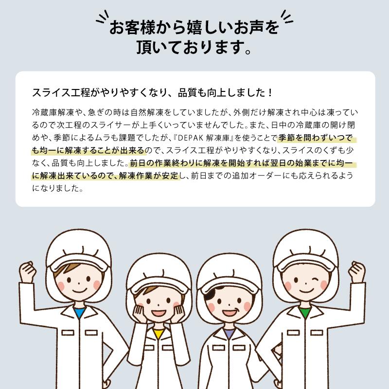 受注生産 DEPAK解凍庫 SE-H500 スピード解凍 肉 魚 食材 解凍 受注生産 DEPAK解凍庫 SE-H500 スピード解凍 肉 魚 食材 解凍