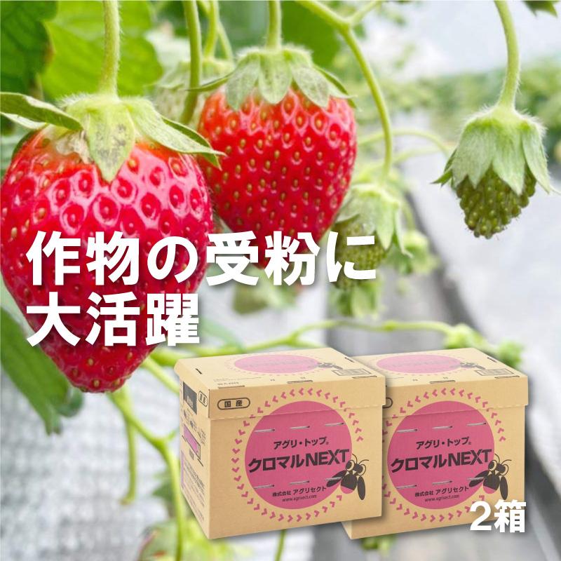 2箱 アグリ・トップ クロマルNEXT クロマルハナバチ 受粉用蜂 ハチ