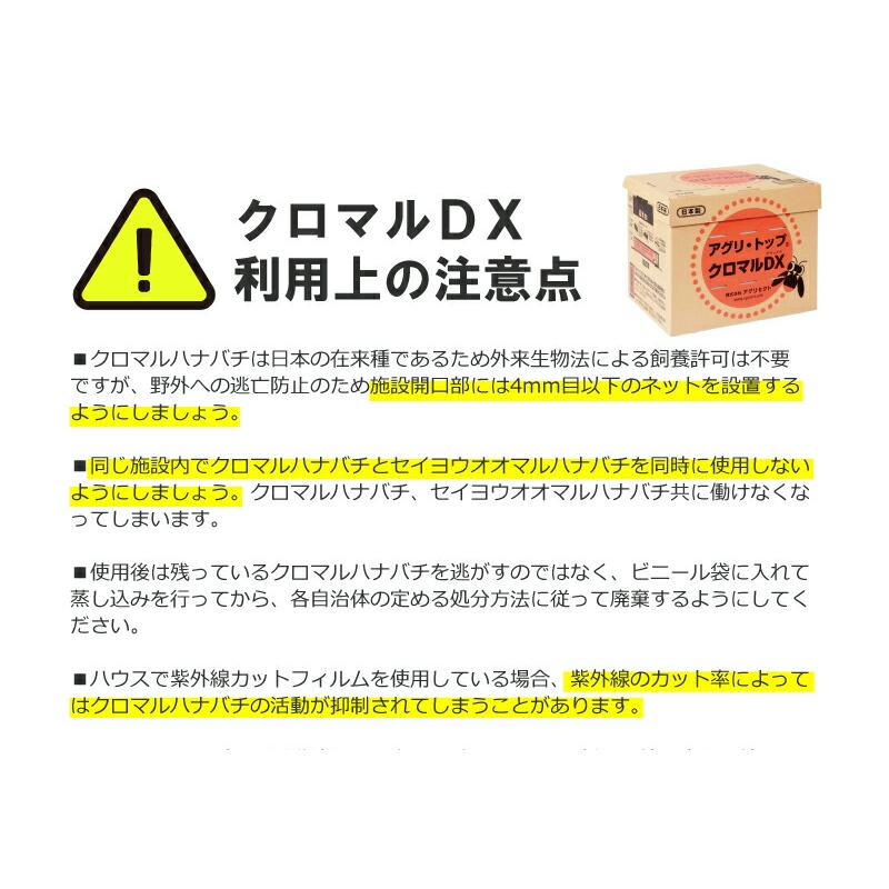 2箱 クロマルDX クロマルハナバチ 受粉用蜂 ハチ 50頭以上 乾燥花粉 蜜付 巣箱セット イチゴ トマト 交配 受粉 蜂 ハウス 施設栽培 アグリセクト タS 代引不可 |  | 11