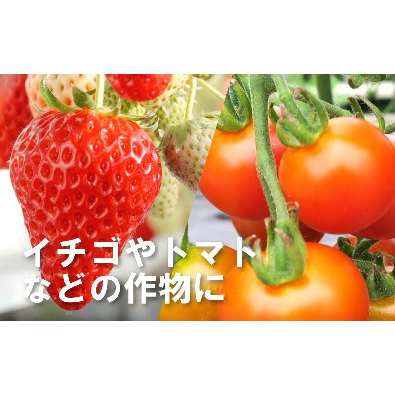 2箱 クロマルDX クロマルハナバチ 受粉用蜂 ハチ 50頭以上 乾燥花粉 蜜付 巣箱セット イチゴ トマト 交配 受粉 蜂 ハウス 施設栽培 アグリセクト タS 代引不可 |  | 03