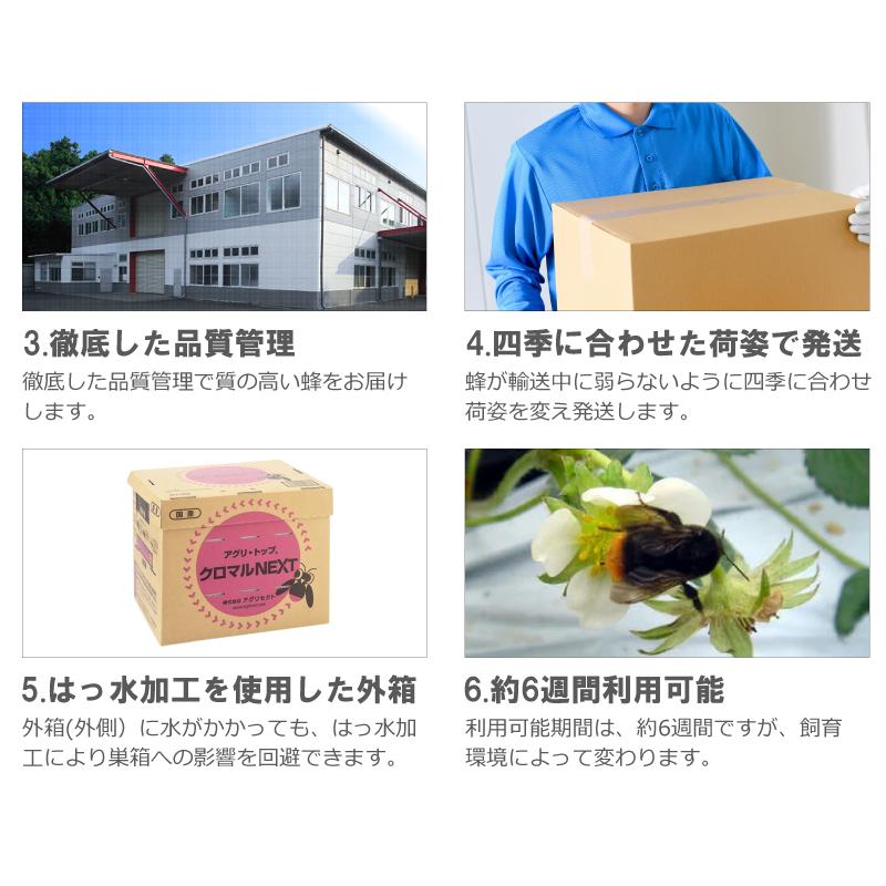 2箱 クロマルDX クロマルハナバチ 受粉用蜂 ハチ 50頭以上 乾燥花粉 蜜付 巣箱セット イチゴ トマト 交配 受粉 蜂 ハウス 施設栽培 アグリセクト タS 代引不可 |  | 07