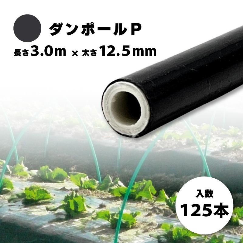 125本 ダンポールP マル125 黒 長さ 3.0m × 太さ 12.5mm 農業資材 農業