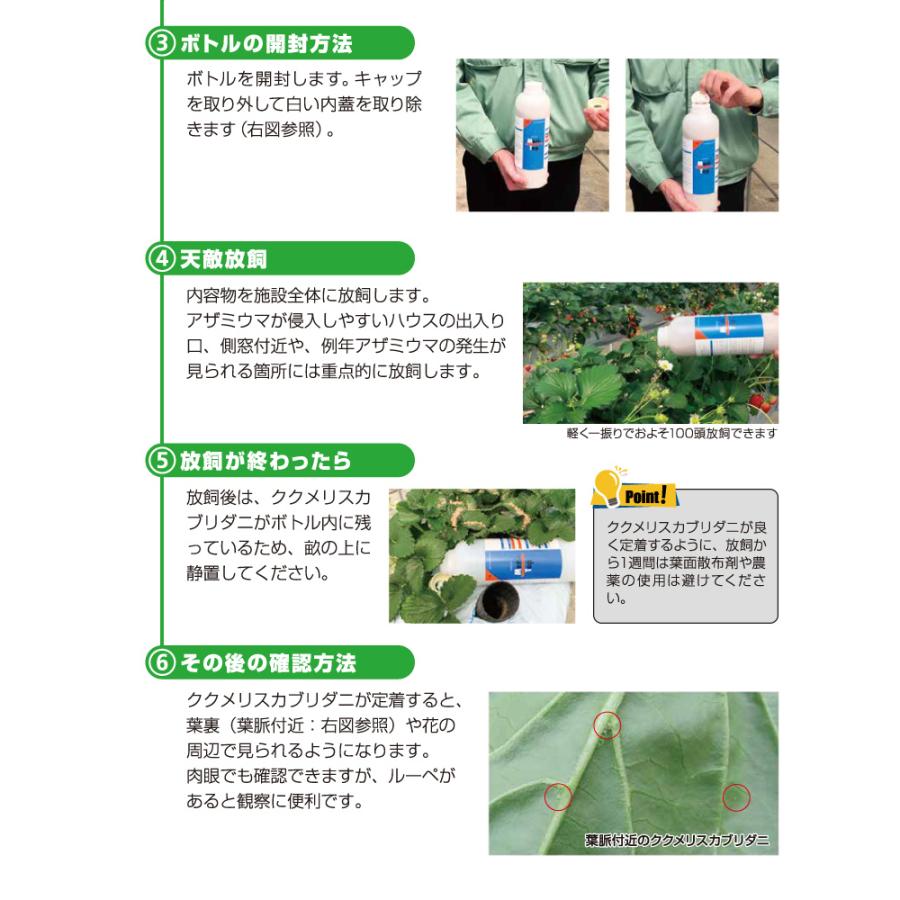 2個 天敵製剤 メリトップ 50000頭 900ml ククメリスカブリダニ アザミウマ駆除 ハウス ビニールハウス 施設栽培 農業 農作物 アグリセクト タS 代引不可の画像